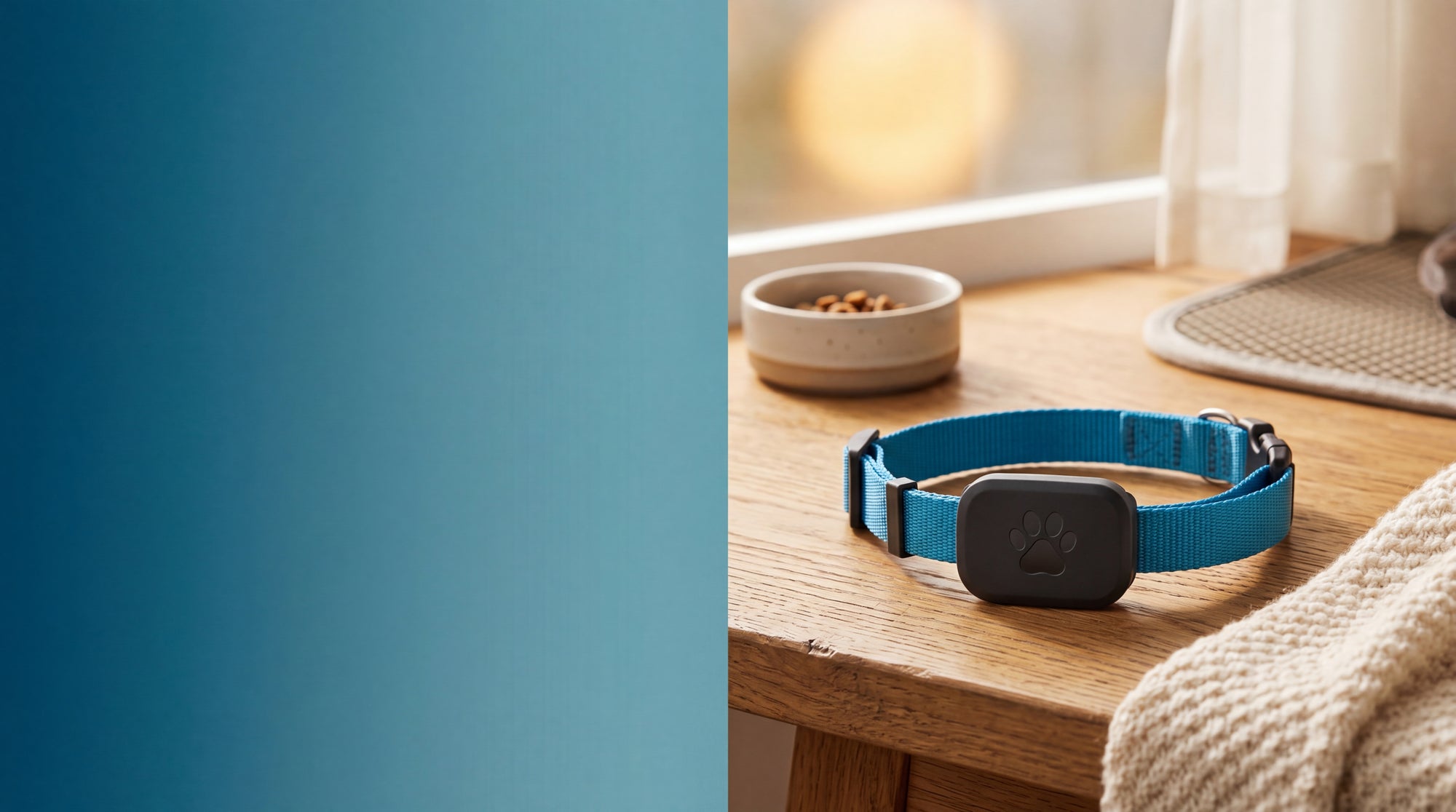 Track Your Pet Anytime, Anywhere