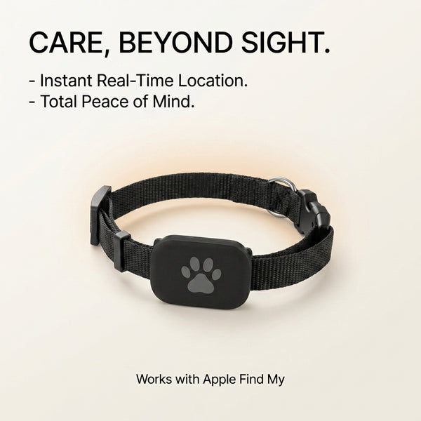 Product highlight image